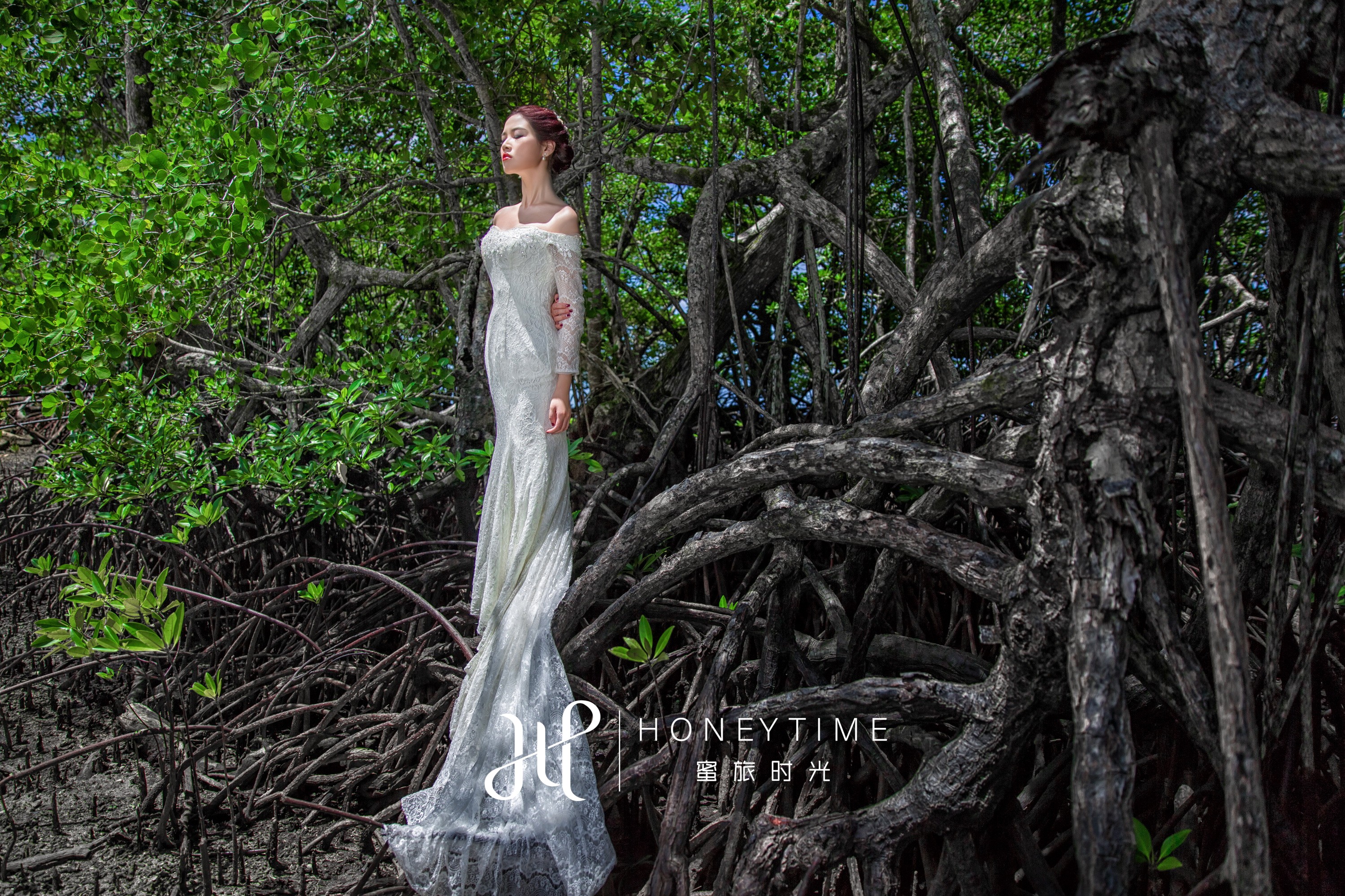 拍摄景点:红树林