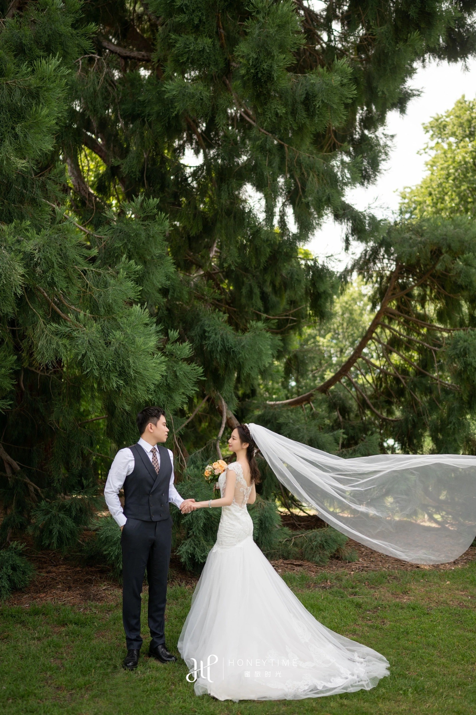 瓦纳卡山顶直升机婚礼(外景拍摄)