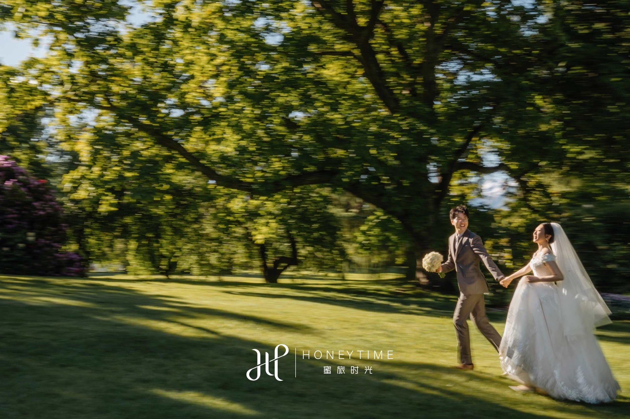 瓦纳卡山顶直升机婚礼(外景拍摄)