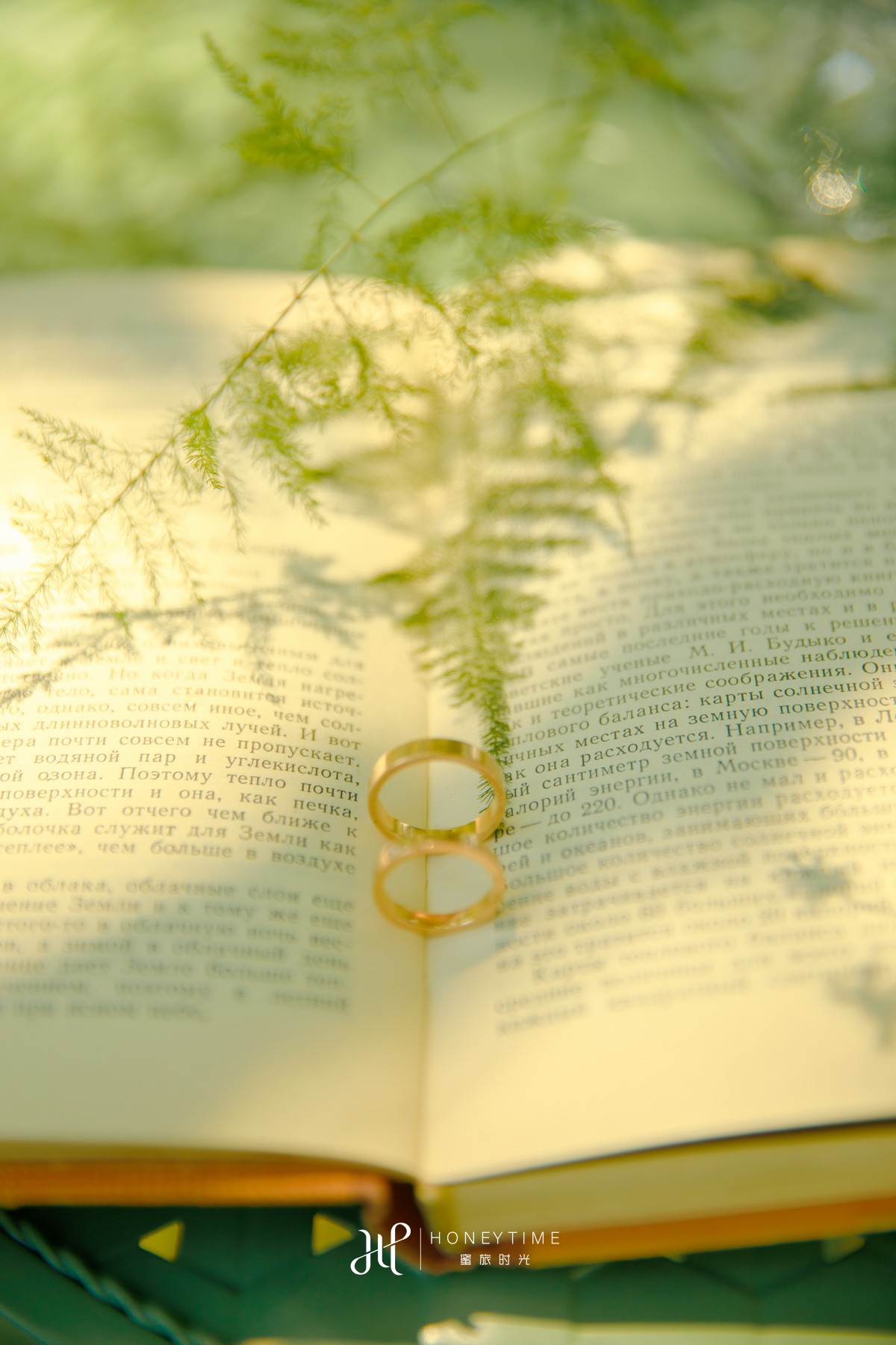 情侣岛-绿影仙踪