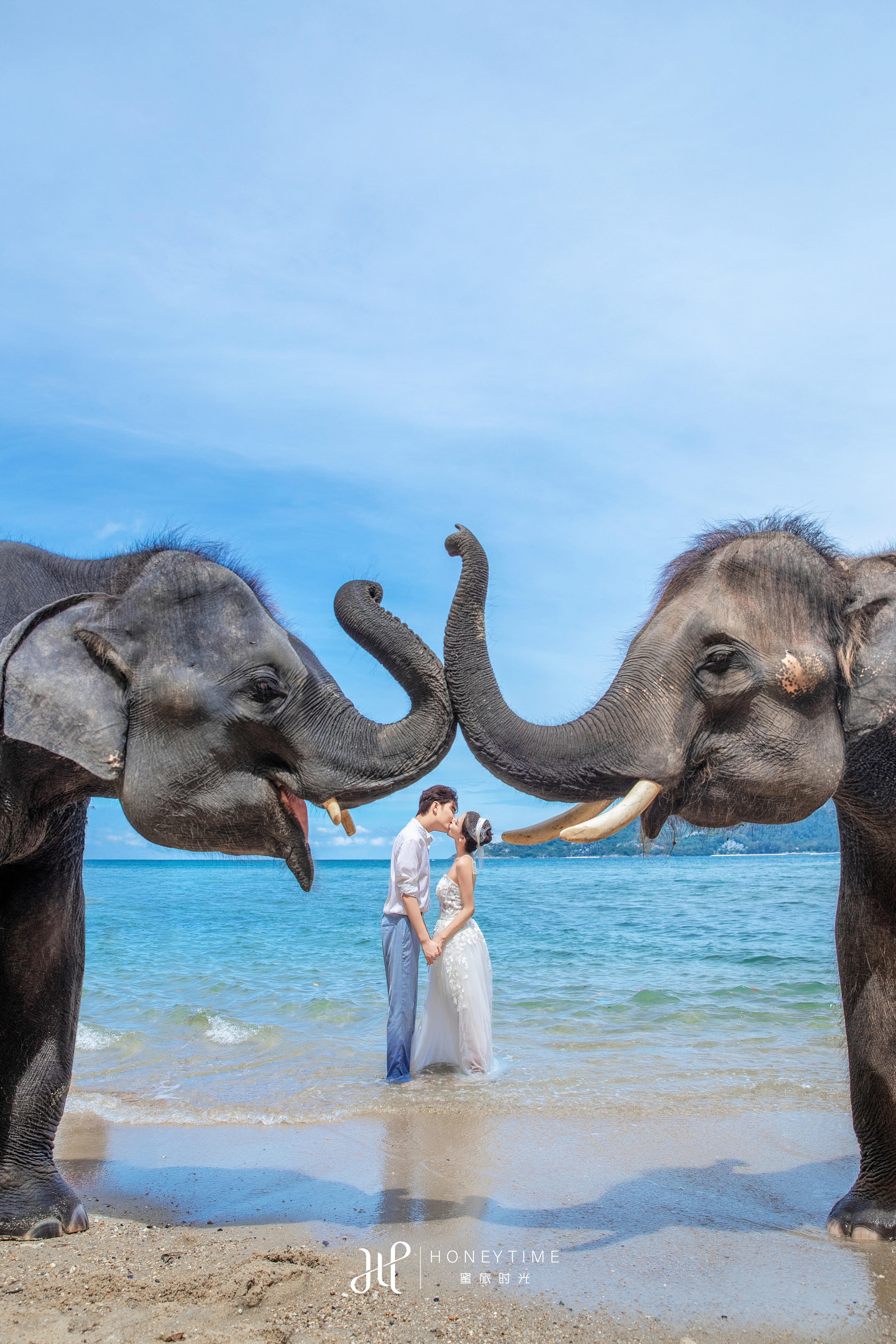 普吉岛(大象收费)