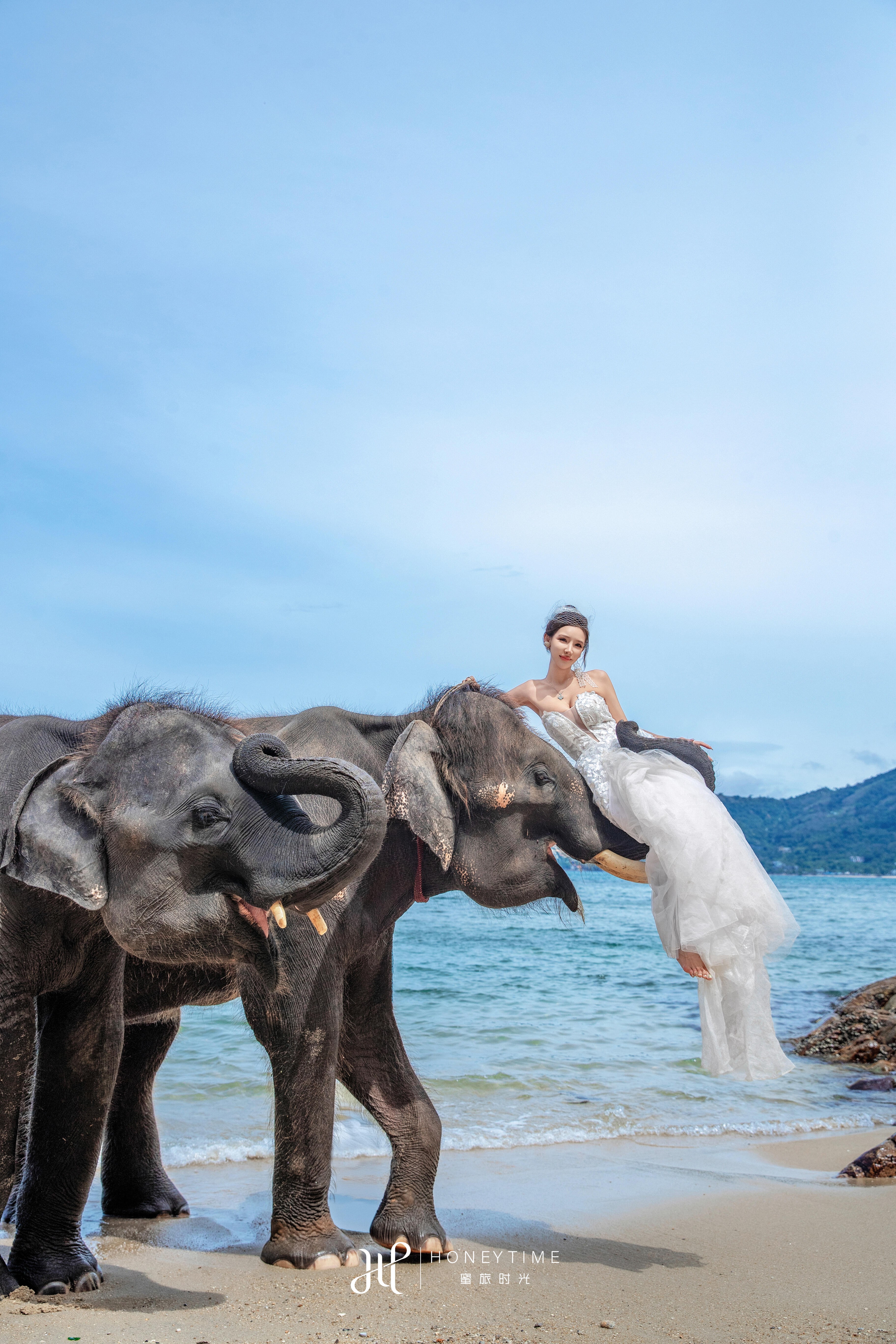 普吉岛(大象收费)