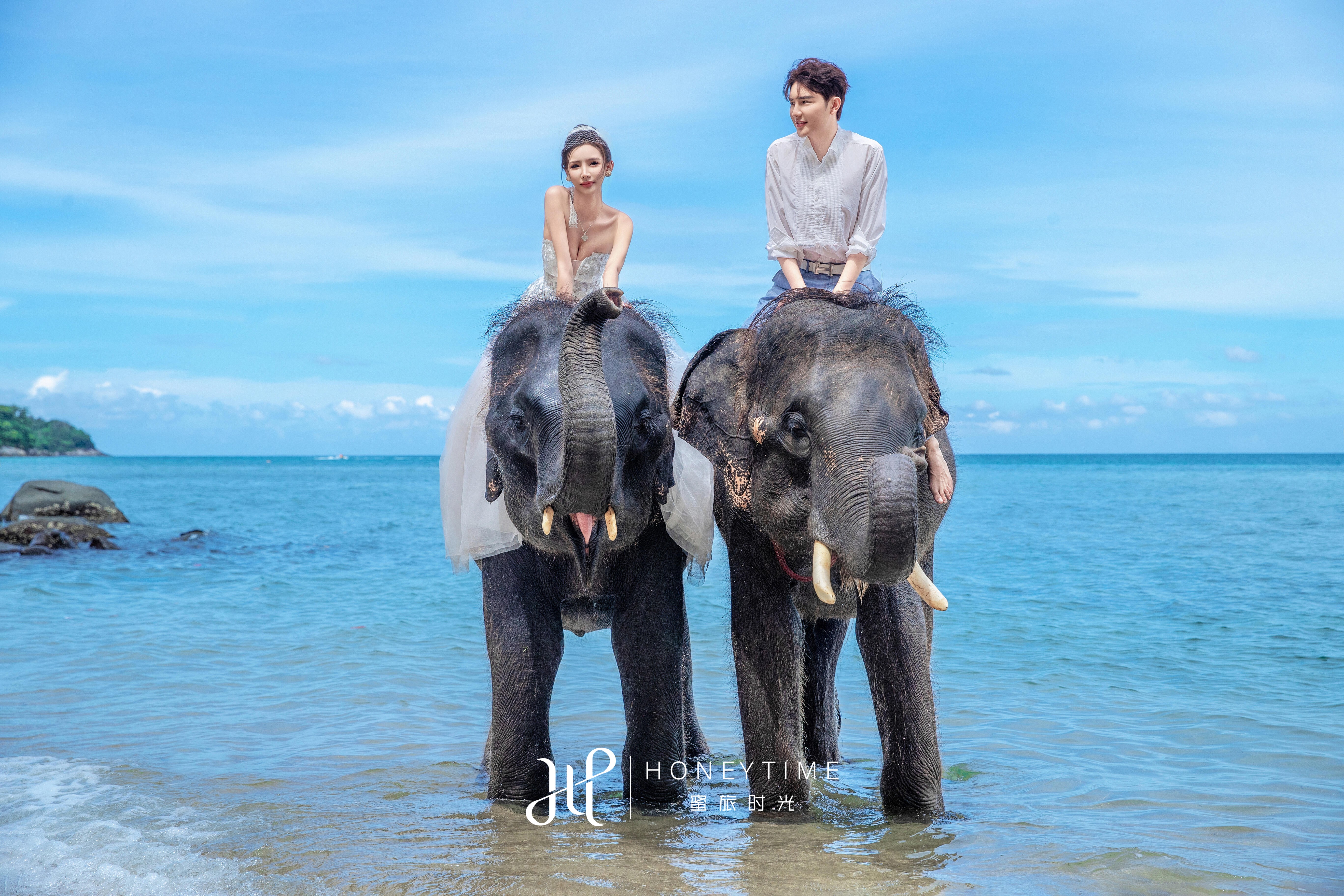 普吉岛(大象收费)