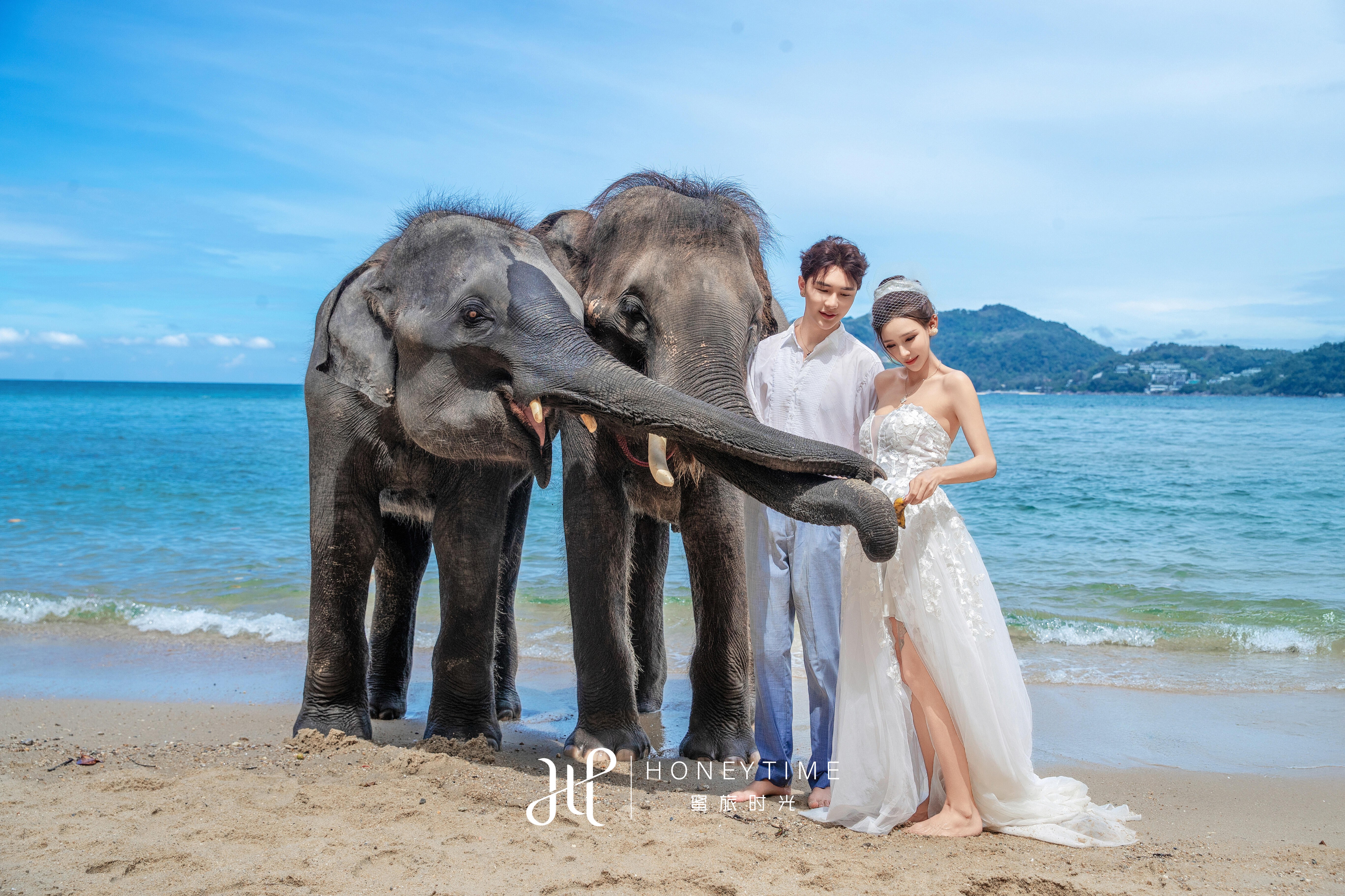 普吉岛(大象收费)