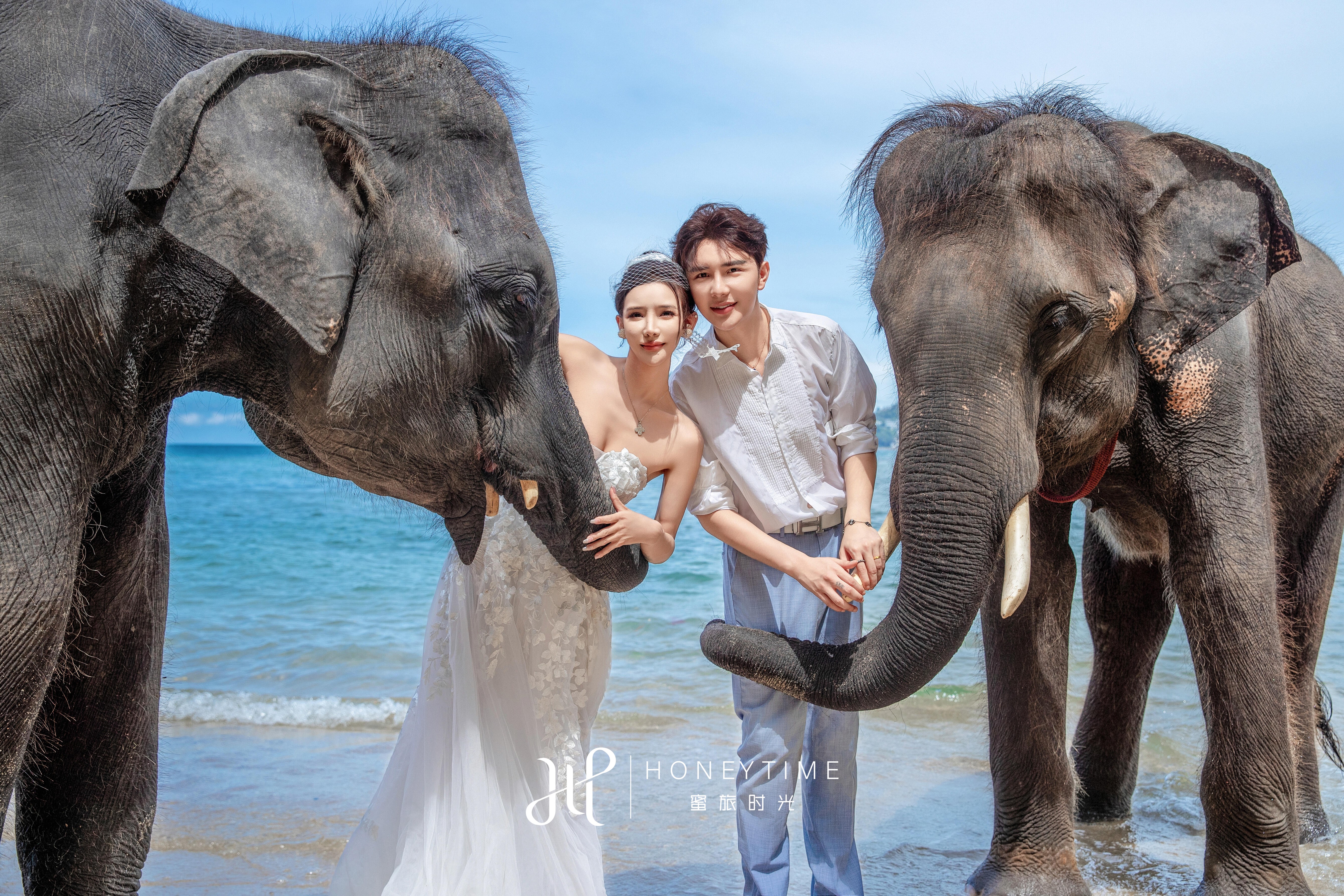 普吉岛(大象收费)